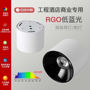 Led Surface-Mounted Downlight Hotel Engineering Shopping Mall Anti-Glare Spotlight No Opening No Opening Ceiling Cob Surface-Mounted Downlight