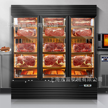 连富商用西餐牛排柜 牛肉牛排熟成柜 干湿冷藏保鲜冷冻展示排酸柜