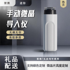 迷你微晶导入仪微晶家用美肤印微针导入浅导冻干粉居家水光仪器