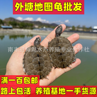 �؈D�����l�������ȵ؈D���������w��ˮ���~�׌�����B��HС����