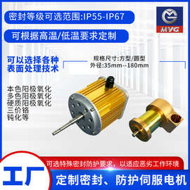 IP67伺服电机永磁同步电机防潮湿特殊工作环境表面氧化处理电机