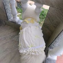 宠物衣服薄款大码狗狗中型犬裙子夏季防掉黄裙公主风狗狗裙子通用