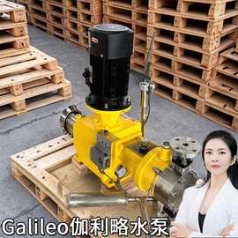 次氯酸钠计量泵 机械式隔膜计量泵 加药流量计量泵 易用