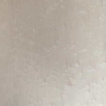 ��ľȸ����Ȼľ���� ��ȻľƤ�b���� �T�b�� ���b�e������