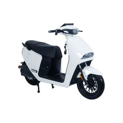 Cross-Border Foreign Trade Electric Vehicles, Elektrikli motosikletlər