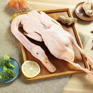 �l2ֻ�r��ɢ�B�������������������������Ї����b�GɫʳƷ