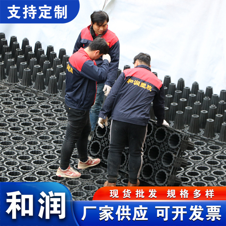 海绵城市雨水收集回收利用系统蓄水池pp雨水收集塑料蓄水模块设备