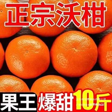 沃柑砂糖蜜橘桔子斤柑橘沙糖广西武鸣县子新鲜水果当季整箱橄榄无