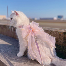 宠物猫咪小型犬梦幻紫仙女大蝴蝶背心胸背带防挣脱外出牵引绳衣服