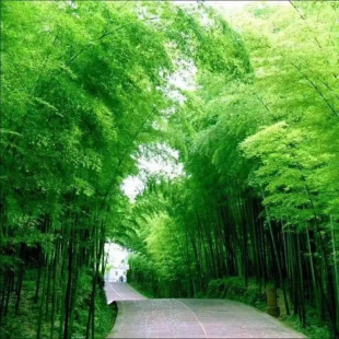 ����ë��N�� ���L�콭����é�����ʳ����S���ӷN�ё���Nֲ