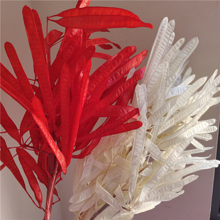 ��������ⶹ�v�ɻ��㶹�v�Ҿ��b廨�Ĕz���߻�c�������Ӱ巿