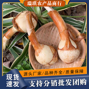 ����r�Ҵȹô������r�״Ĺ����R��ѿ���F���߲��r���ԷN��ȹ�