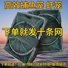 �~�\�O�W�r�\�O�\�~�W���~�\���з���q�S�X�Ӽ����~�r���þW