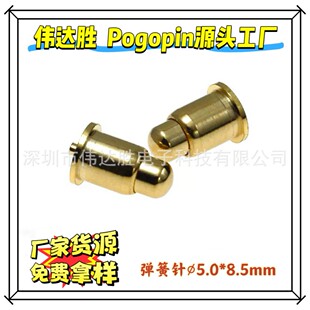 �S��pogopin����� �S�~僽�������s�� ����~�