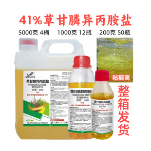 ���r�� 41%�ݸ�좮������} �O���@�s�ݠ������݄� �ݸ��ך��݄�