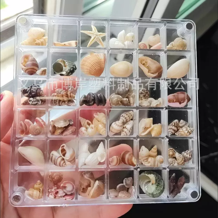 贝壳收纳盒亚克力透明海边微石头海螺标本展示收藏磁力收纳相框