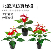 �羳�S��ֱ�N����Gֲ18�^�t�ƻ�5���@���쾰ֲ�����Ĕz����