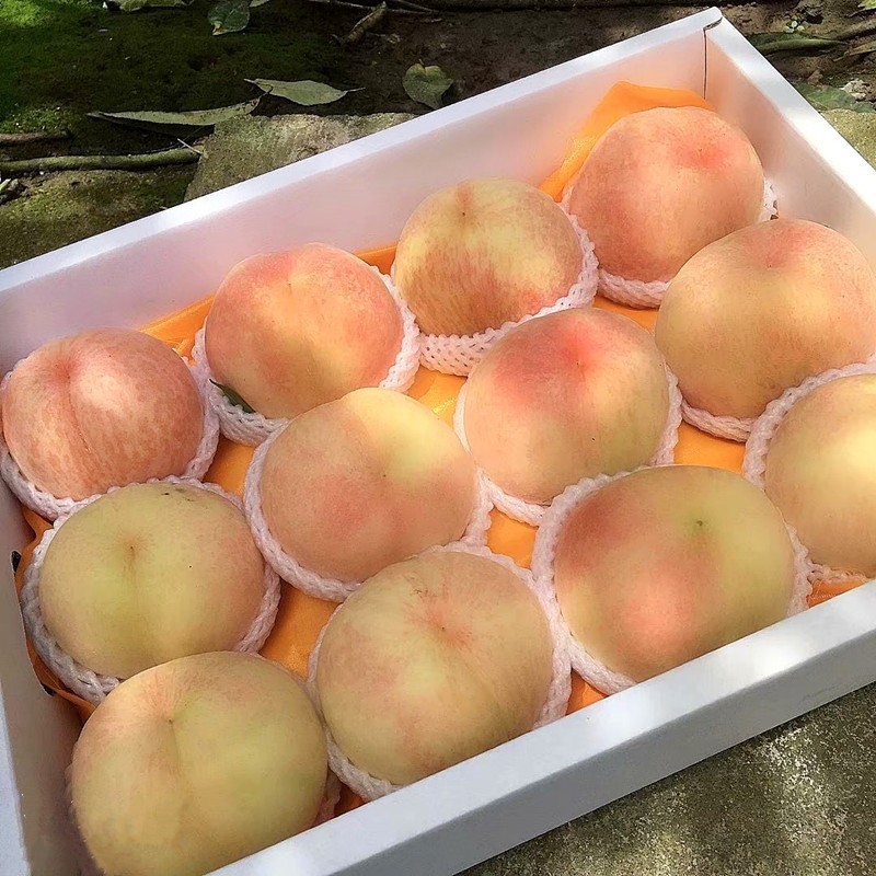 阳山水蜜桃无锡白凤软桃子甜当季新鲜水果整箱批发12个装毛独立站