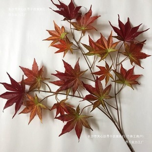 �~��ͩ���Ř��֦���Ṥ�̷���ٻ�ˇ���~�Gɫ��ͩ�~�쾰���~