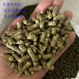 植物性饲料;其他饲料;动物性饲料