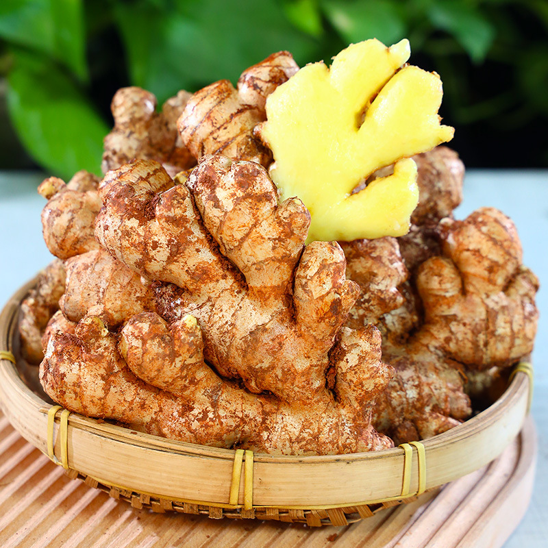Authentic Yunnan Mountain Ginger, Fresh Ginger, Freshly Dug Ginger, Postpartum Ginger, Ginger Vegetables, Free Shipping