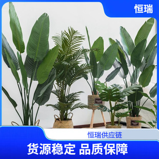 WGֲ˽Ԕ[͏dbپGֲ҃ؼ٘[O٘