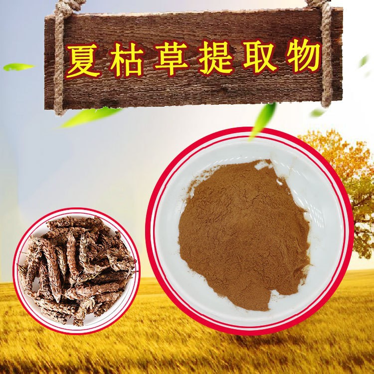Prunella vulgaris extract 10:1 Tengmai spot free shipping Prunella…
