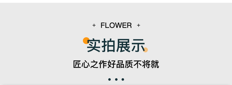 详情_12.jpg