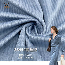 8845#丽丝绒190G天鹅绒坑条布料秋冬连衣裙休闲服装抱枕箱包面料
