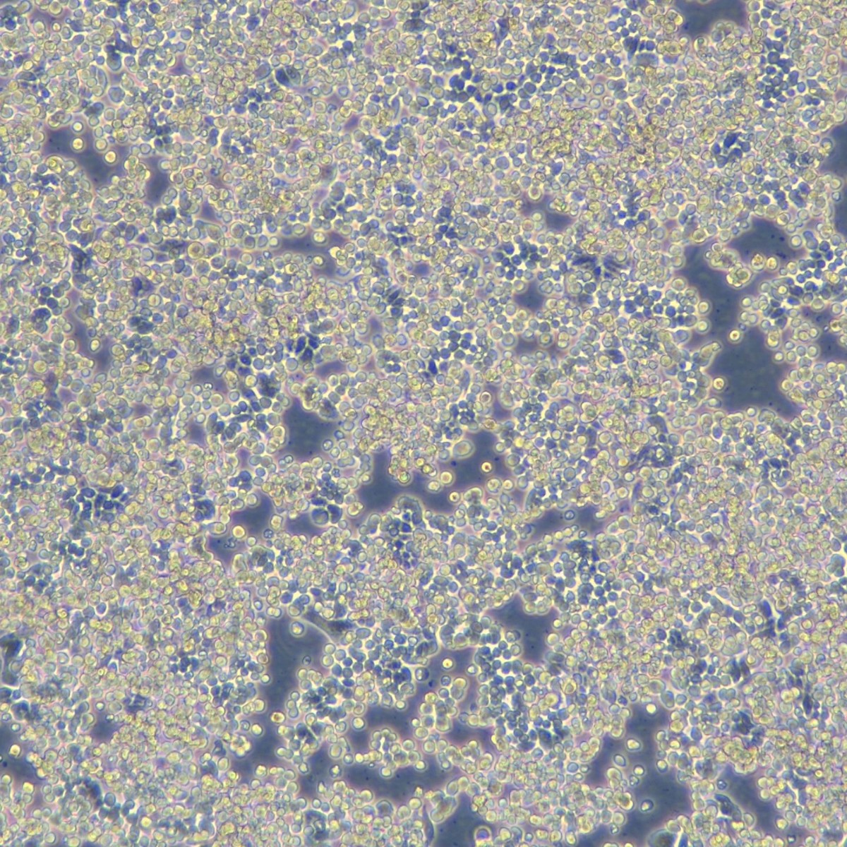 2025-11-05 16:19:40.jpg