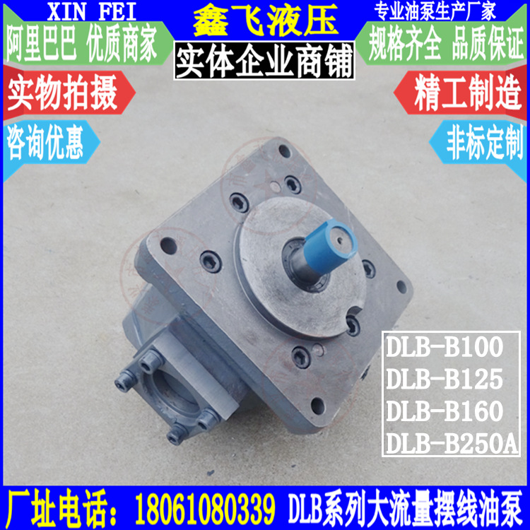 DLB-B100 DLB-B125 DLB-B160 DLB-B250大流量润滑摆线齿轮油泵Y N