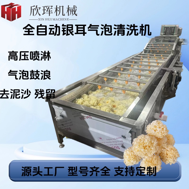 海参海带海胆鱿鱼带鱼高压喷淋气泡清洗机 商用海产品清洗去鳞机