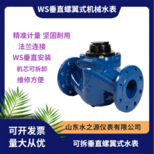 工厂直供WS垂直螺翼式机械水表 法兰垂直安装大口径可拆法兰水表