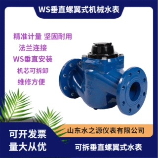 工厂直供WS垂直螺翼式机械水表 法兰垂直安装大口径可拆法兰水表