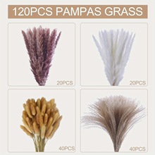 ��Ȕ�ɻ�����˹�ݽM�ϻ����b���β��С�JȔС���m120pcs�}�Q��