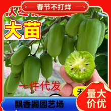 һ�����lܛ���J���Ҙ����t�ď�����������ͥԺ����ˮ���������