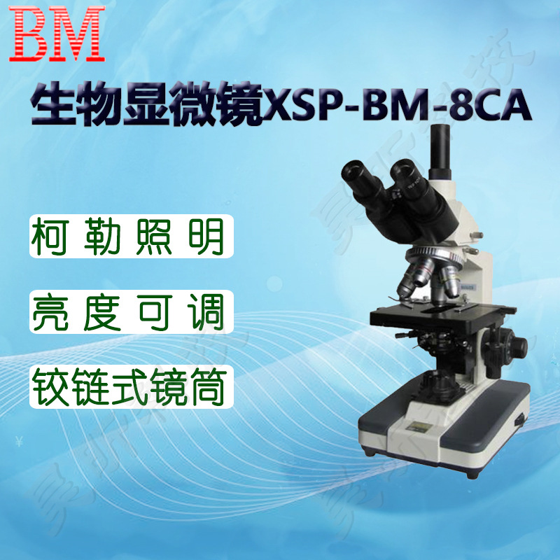 BM彼爱姆平板电脑型生物显微镜XSP-BM-8CA 8CAP三目4个物镜1600倍