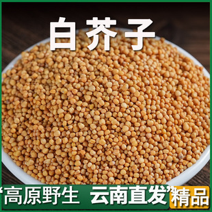 �����Ұ�����׽�����ș��Ұ����Ʒ�׽��� ������ �ؼ�������ݲ�