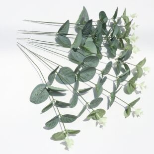 Amazon simulation single money leaf eucalyptus green plant plant wall wedding photography photo ins style high simulation