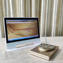 14寸弱磁场共振分析仪人体亚健康微量元素检测仪电脑一体机