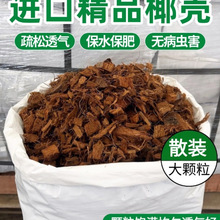 �M��ɢ�b��K��Ҭ��Ҭ�u���ݰl�I�B���B��ͨ�����m��ֲ���w��Ó�}