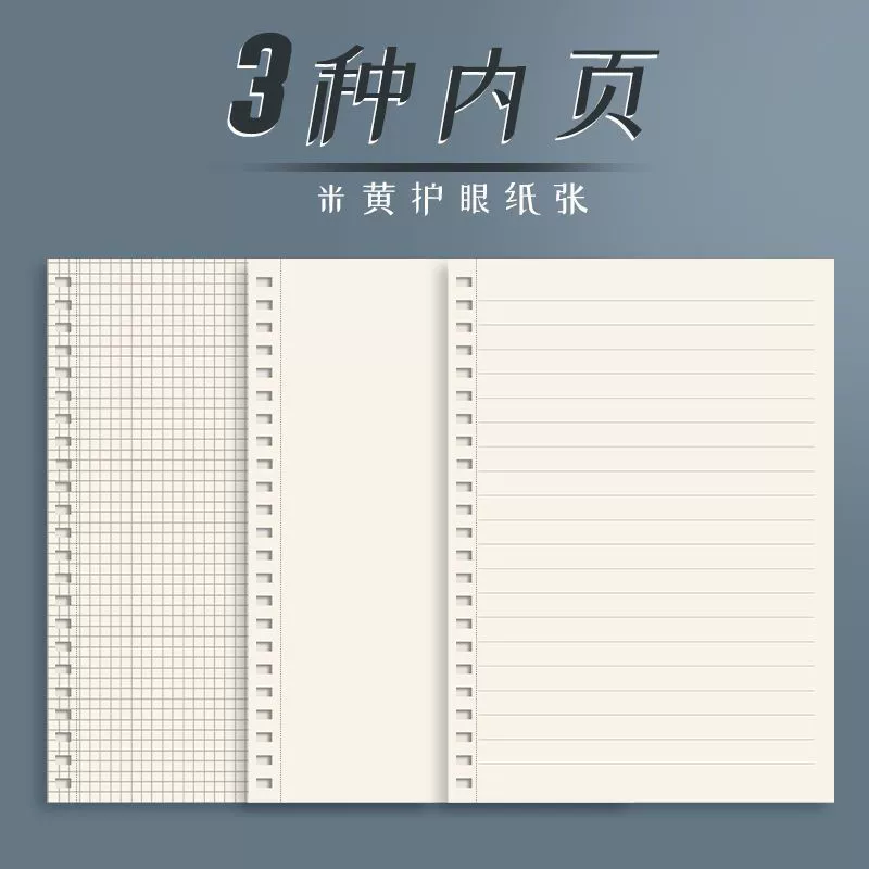 PP coil notebook B5, 80 sheets, PP cover, lined/grid/dot/plain