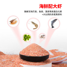 �����ߵ��׸ߴ�͸�~�D���a�~�D�ϝ������β���~