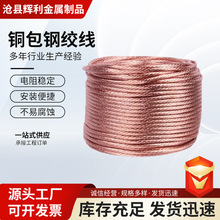 镀铜钢绞线引下线镀铜绞线生产机场用防雷接地绞线铜覆钢绞线