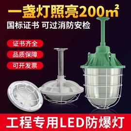 LED日光灯;防爆灯;其他LED光源