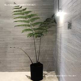 金丝室内装饰摆件盆栽猴头植物仿真绿植落地侘寂风盆景蕨蕨