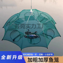 �r�\�O�W���r�W���~�\���r�W�Ӵւ����з�S�X���q�\�֒��O���~�W