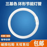 【2026开学季】三基色环形灯管推荐｜高显色无频闪，直播/化妆/摄影通用