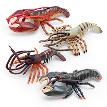 �羳���溣�������rģ�̓�ͯ�J֪��ʿ�D���r���r���ׄ����b[��