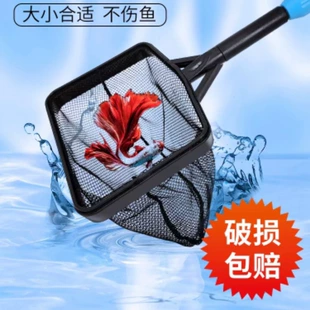 Product Media